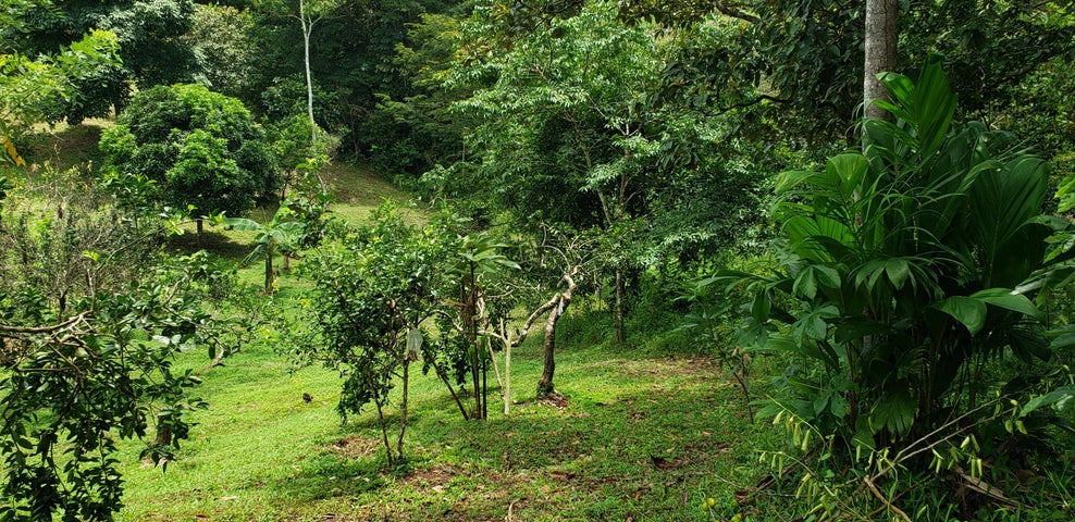 Land for Sale in Panama City Panamá Province 07019